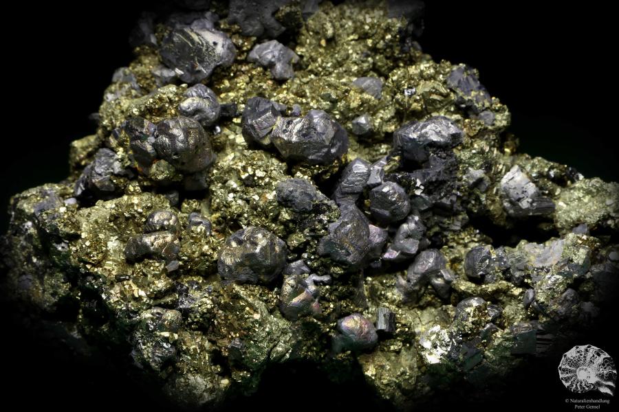 Galenit XX & Pyrit XX (20236) ein Mineral aus Rumänien | Mineralien | Weltweit