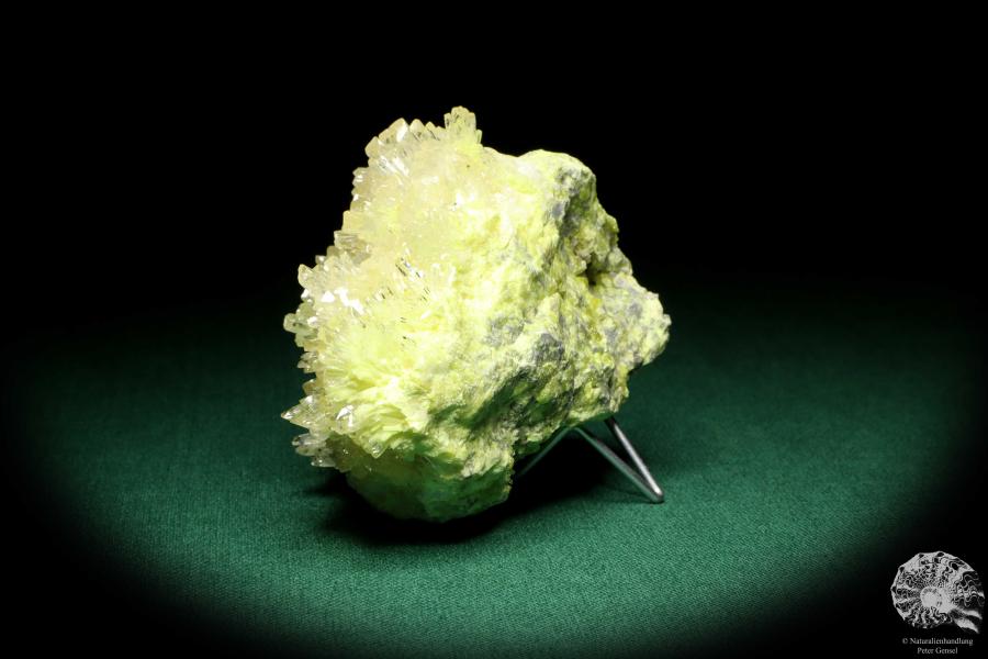 Celestine XX on Sulphur XX (20240) a mineral from Poland | Minerals | Global