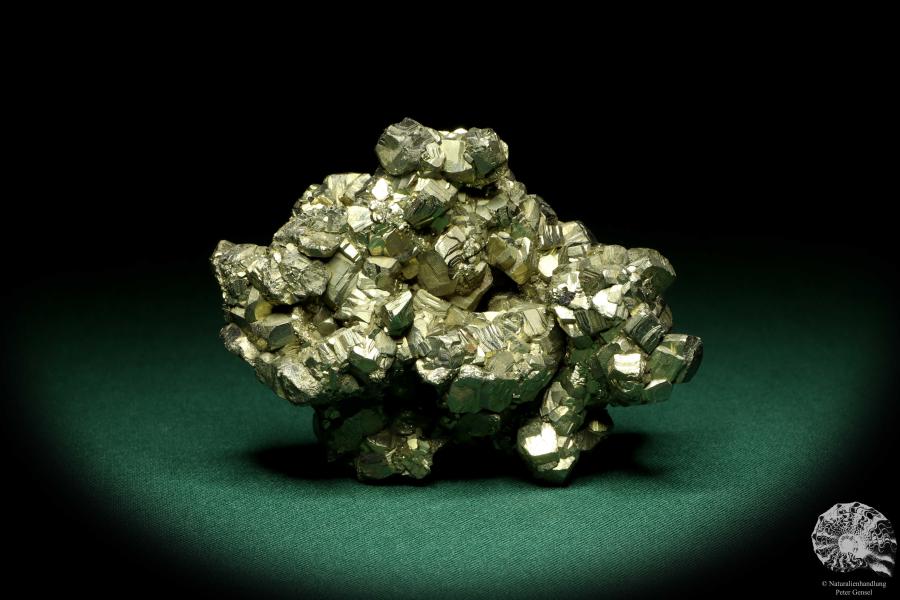 Pyrite XX (20242) a mineral from Italy | Minerals | Global