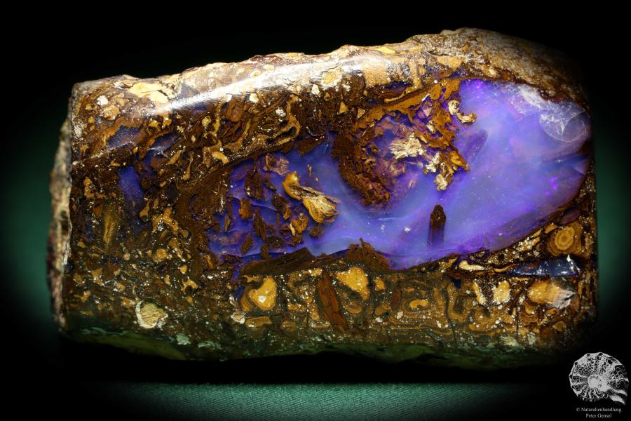 Precious opal - Australia - (20247)