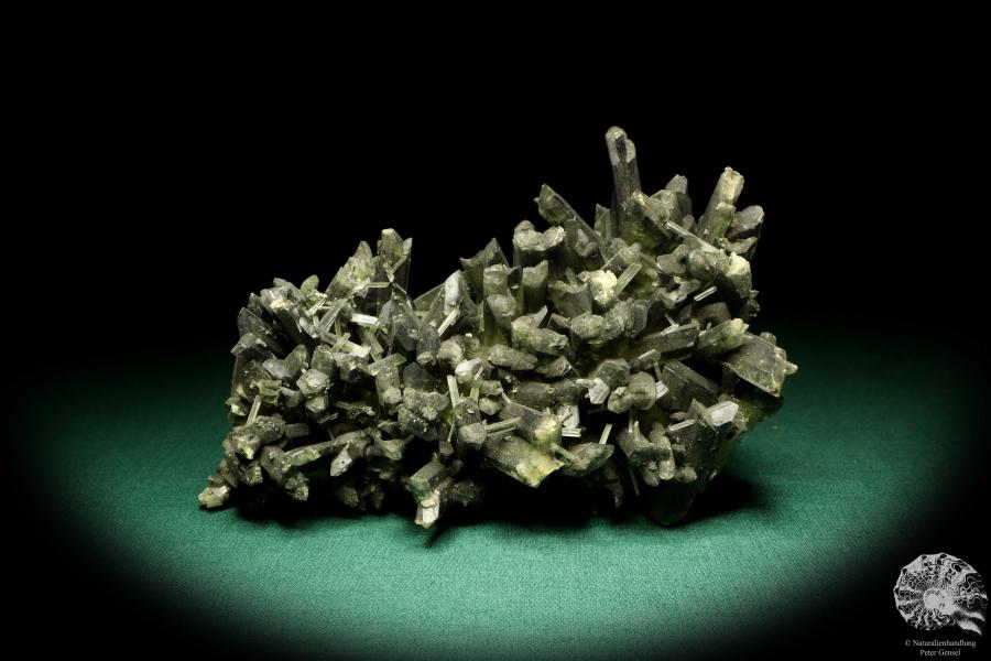 Gypsum XX (20252) a mineral from Germany | Minerals | From Germany