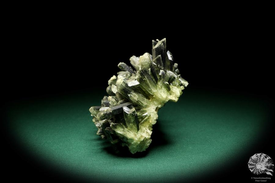 Gypsum XX (20252) a mineral from Germany | Minerals | From Germany