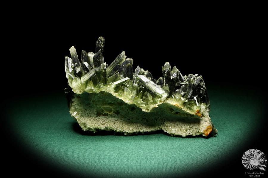 Gypsum XX (20252) a mineral from Germany | Minerals | From Germany