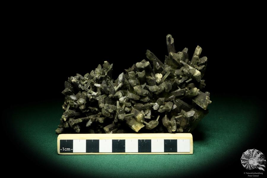 Gypsum XX (20252) a mineral from Germany | Minerals | From Germany