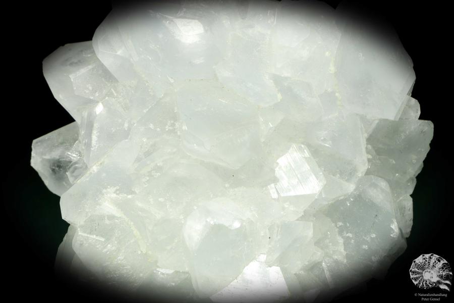 Coelestin XX (20258) ein Mineral aus Turkmenistan | Mineralien | Weltweit