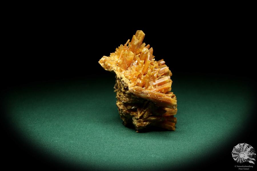 Gypsum XX (20263) a mineral from Germany | Minerals | From Germany