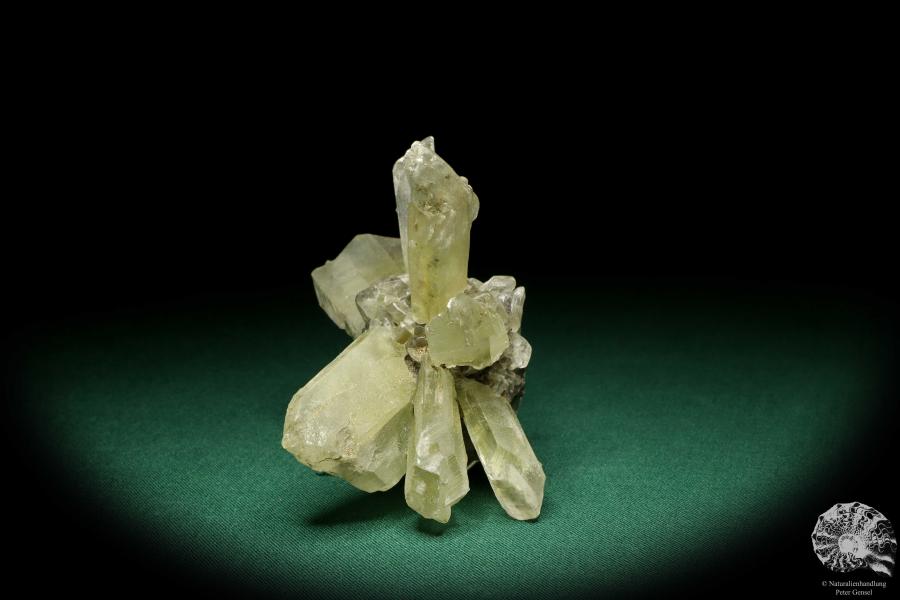 Gypsum XX (20265) a mineral from Germany | Minerals | From Germany