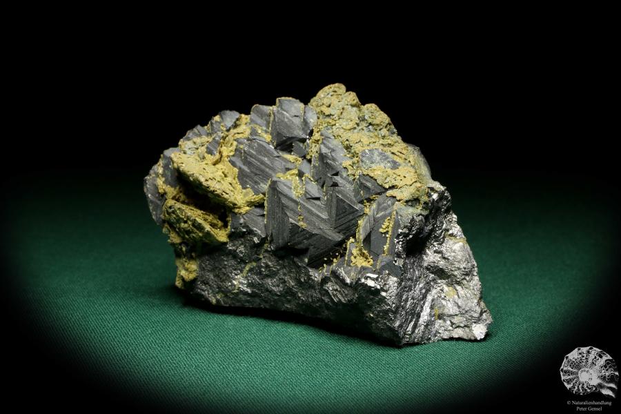 Sphalerit XX mit Rhodochrosit XX (20269) ein Mineral aus Kasachstan | Mineralien | Weltweit