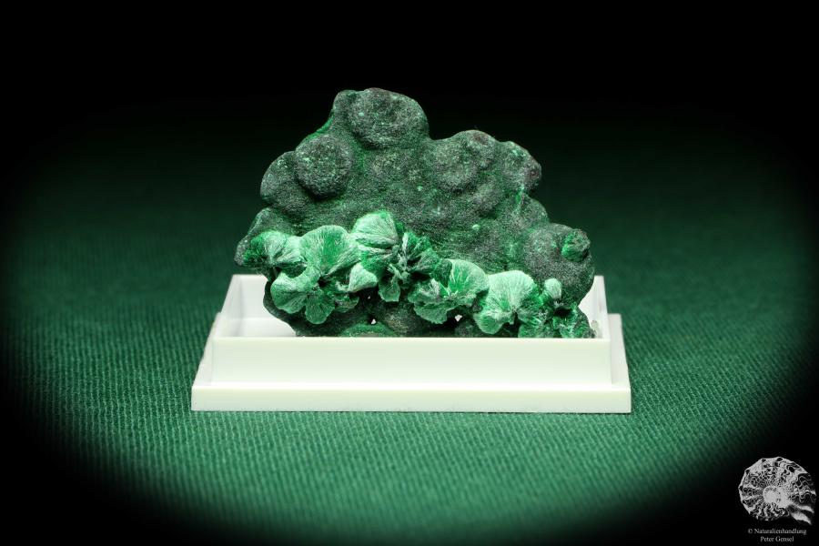 Malachite XX (20442) a thumbnail from DR Congo | Minerals | Thumbnails