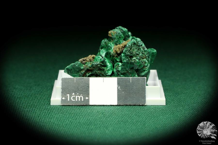 Malachite XX (20447) a thumbnail from DR Congo | Minerals | Thumbnails