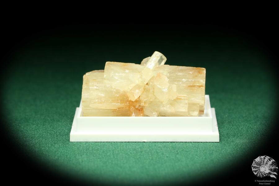 Aragonite XX (20454) a thumbnail from Morocco | Minerals | Thumbnails