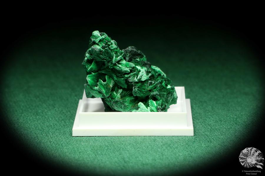 Malachite XX (20464) a thumbnail from DR Congo | Minerals | Thumbnails