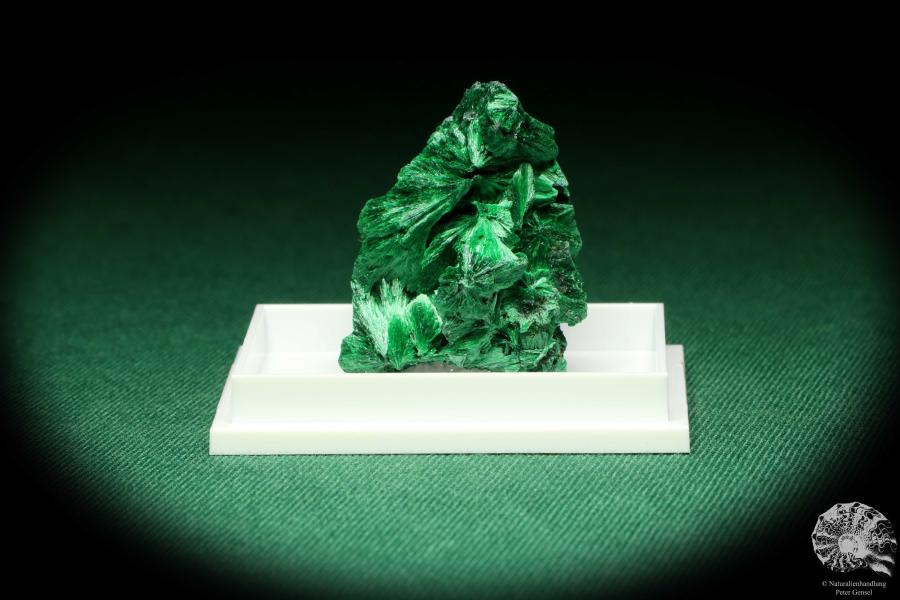 Malachite XX (20476) a thumbnail from DR Congo | Minerals | Thumbnails