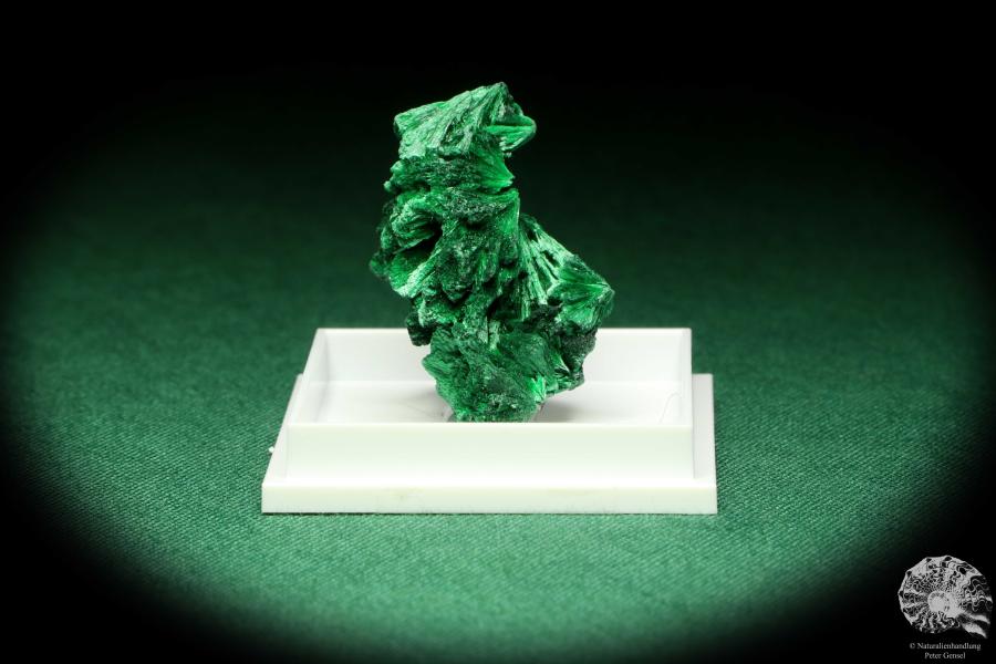 Malachite XX (20476) a thumbnail from DR Congo | Minerals | Thumbnails