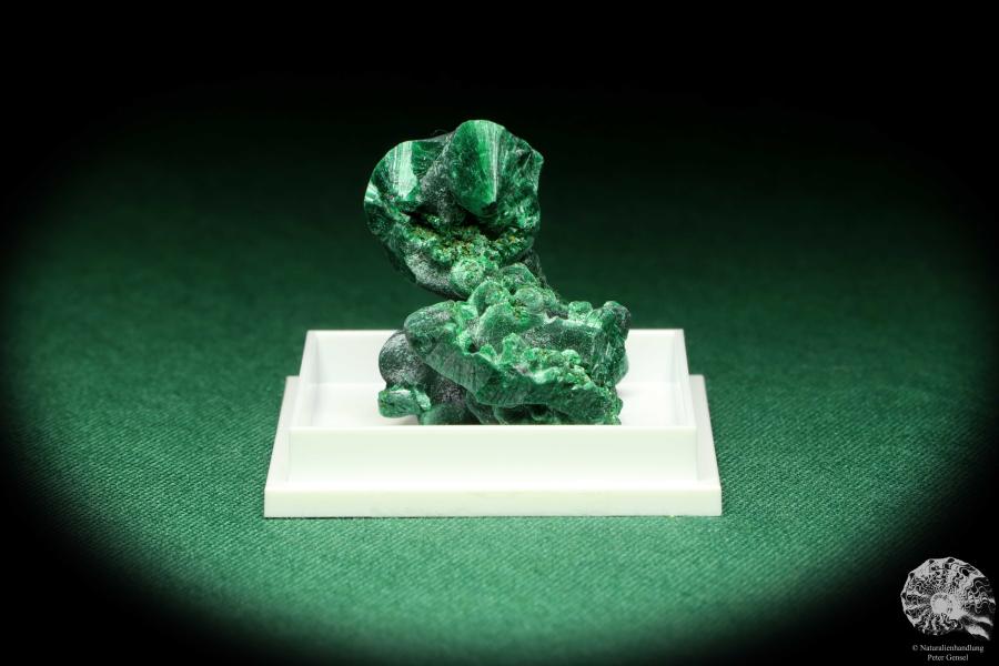 Malachite XX (20478) a thumbnail from DR Congo | Minerals | Thumbnails