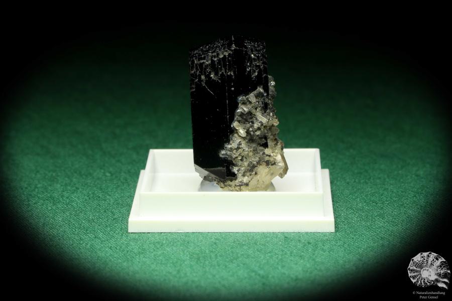 Black Tourmaline XX - Namibia - (20481)