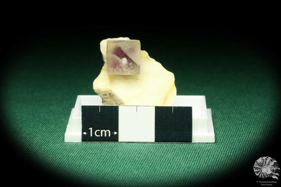 Fluorite XX (20501) a thumbnail from South Africa | Minerals | Thumbnails