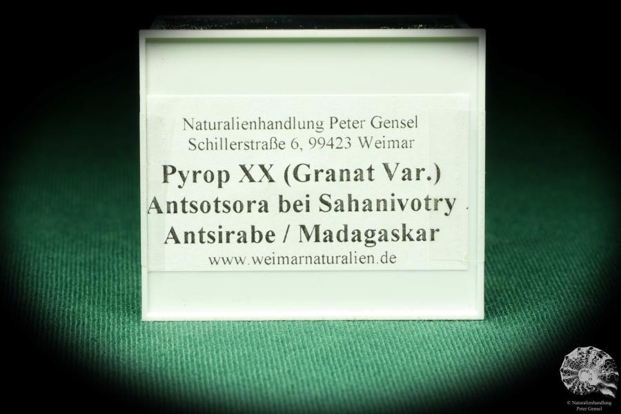 Pyrop XX (20523) eine Kleinstufe aus Madagaskar | Mineralien | Kleinstufen