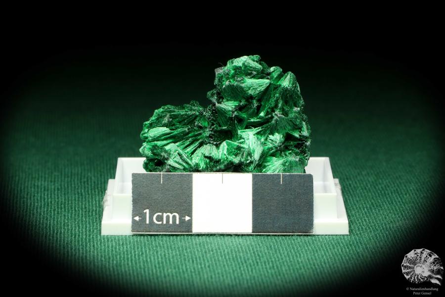 Malachite XX (20524) a thumbnail from DR Congo | Minerals | Thumbnails