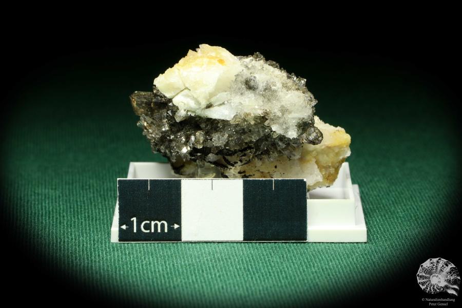 Creedit XX (20534) eine Kleinstufe aus Mexiko | Mineralien | Kleinstufen