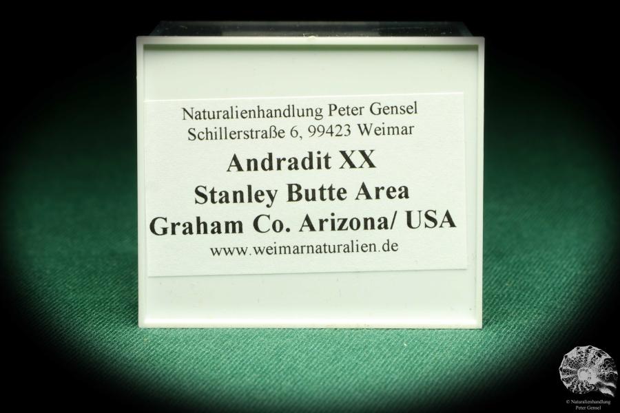 Andradit XX (20577) eine Kleinstufe aus USA | Mineralien | Kleinstufen