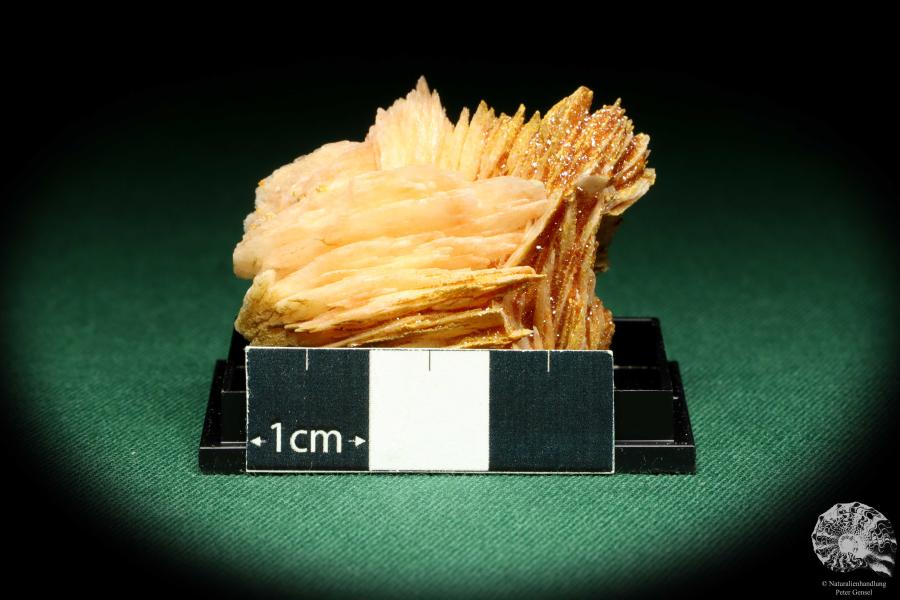 Vanadinite XX on Baryte (20613) a thumbnail from Morocco | Minerals | Thumbnails