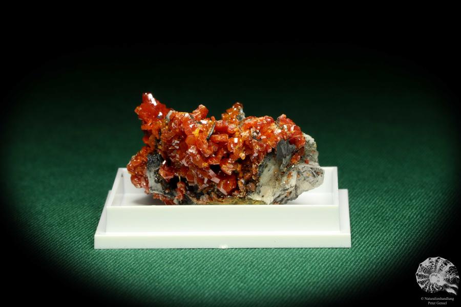 Vanadinite XX on Baryte (20621) a thumbnail from Morocco | Minerals | Thumbnails