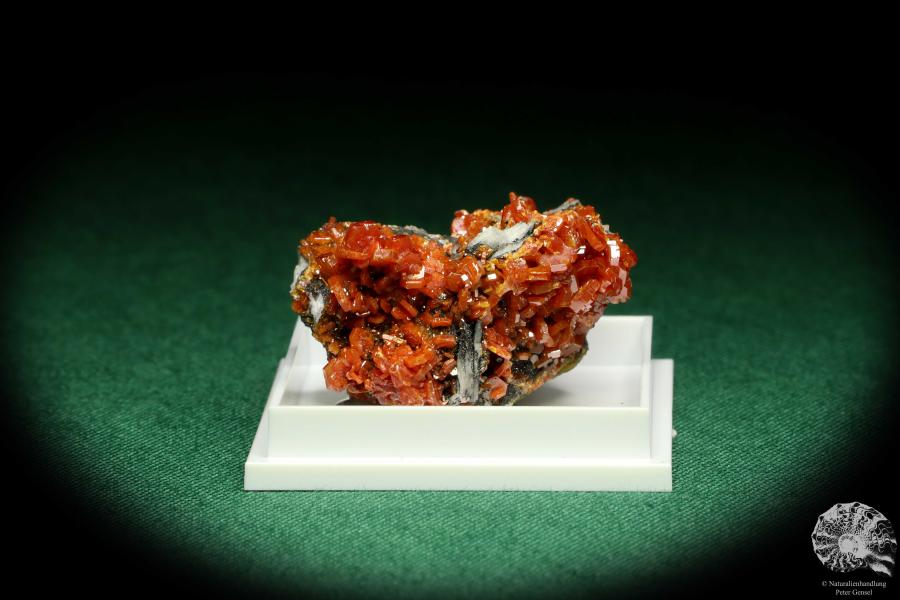 Vanadinite XX on Baryte (20621) a thumbnail from Morocco | Minerals | Thumbnails