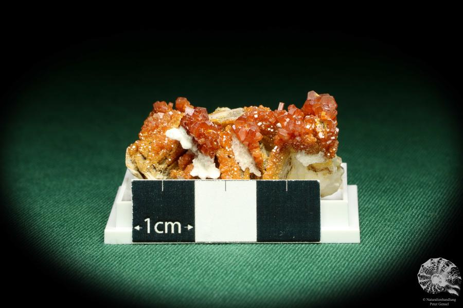 Vanadinite XX on Baryte (20622) a thumbnail from Morocco | Minerals | Thumbnails