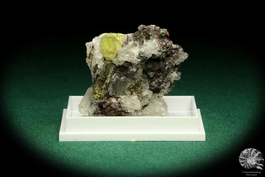 Fluorapatite XX (20632) a thumbnail from Mexico | Minerals | Thumbnails