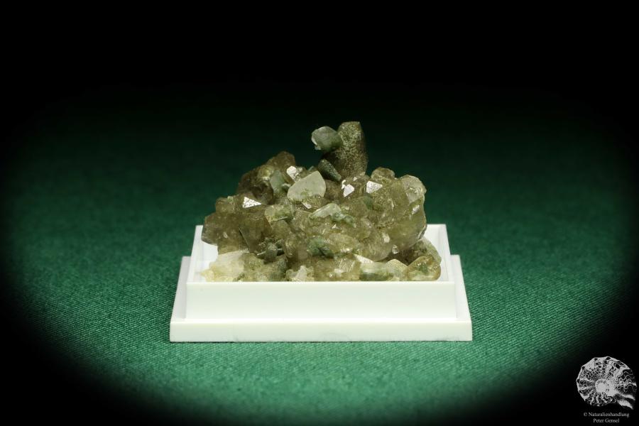 Smoky Quartz XX - Switzerland - (20633)