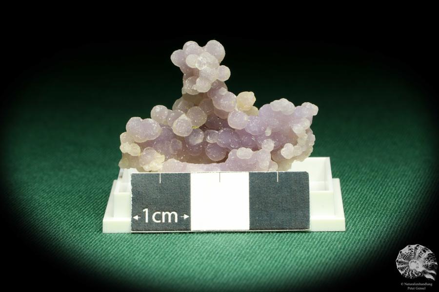 Traubenchalcedon (20641) eine Kleinstufe aus Indonesien | Mineralien | Kleinstufen