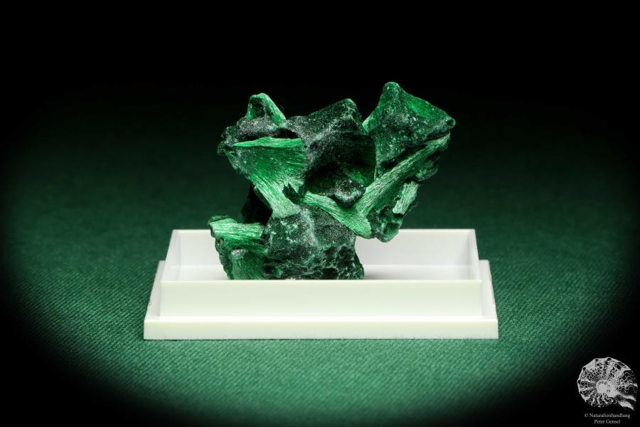 Malachite XX (20658) a thumbnail from DR Congo | Minerals | Thumbnails