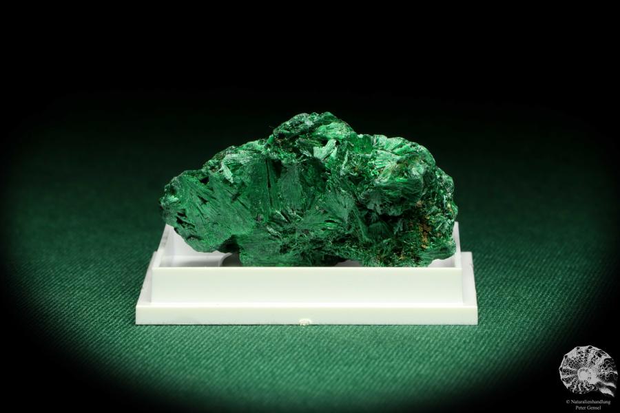 Malachite XX (20663) a thumbnail from see pictures | Minerals | Thumbnails