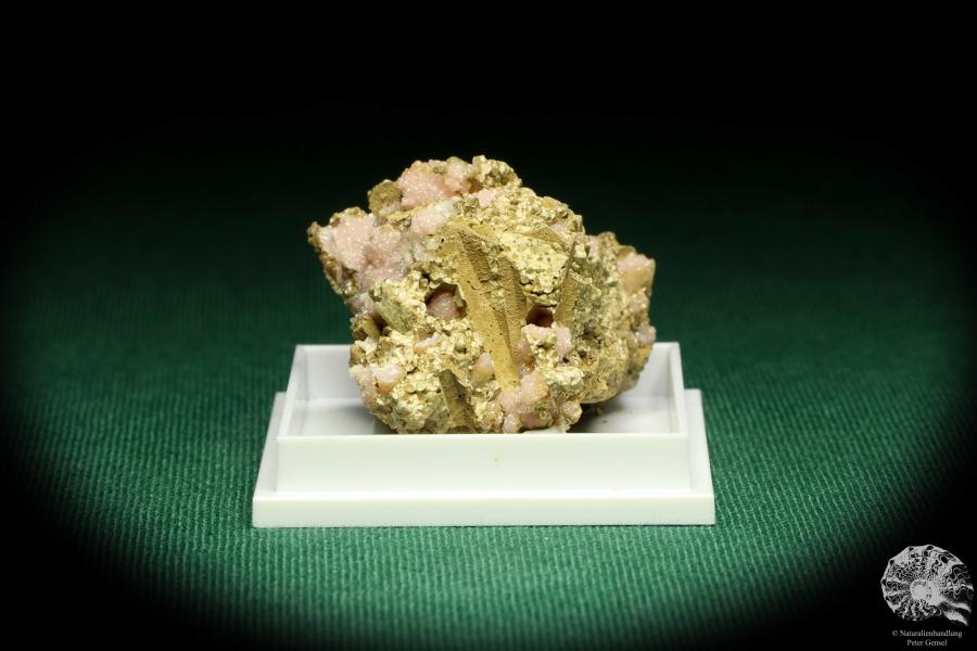 Rhodochrosite XX - Mexico - (20668)