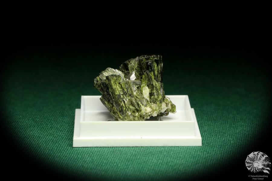 Epidote XX - France - (20676)