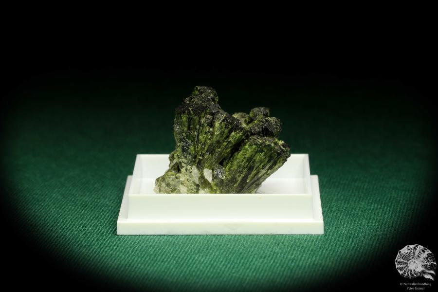 Epidote XX (20676) a thumbnail from France | Minerals | Thumbnails