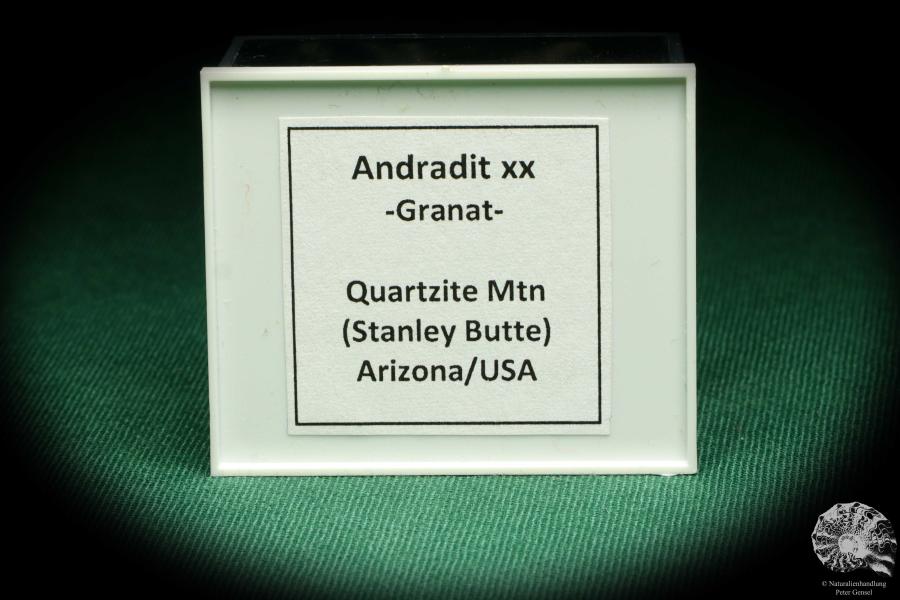 Andradit XX (20691) eine Kleinstufe aus USA | Mineralien | Kleinstufen