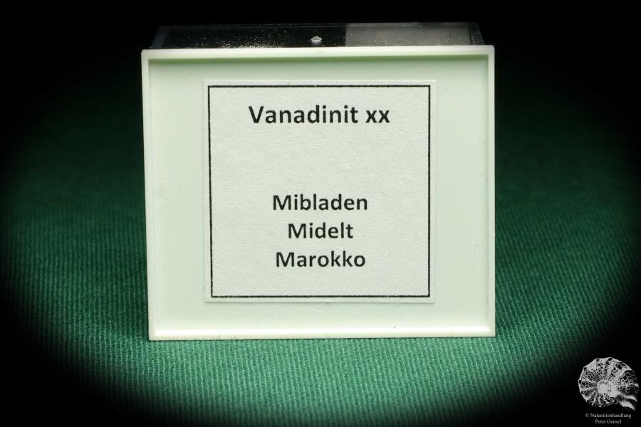 Vanadinit XX (20712) eine Kleinstufe aus Marokko | Mineralien | Kleinstufen