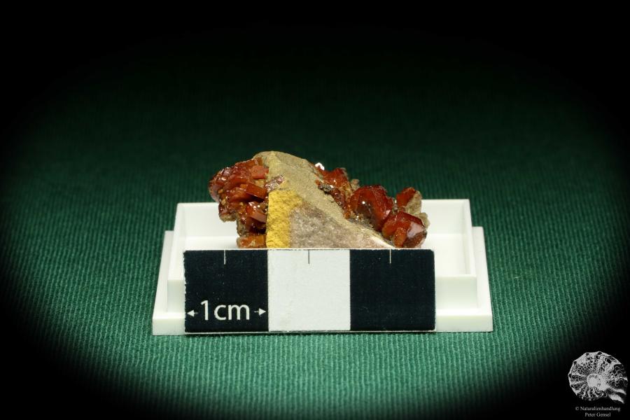 Vanadinite XX on Baryte (20721) a thumbnail from Morocco | Minerals | Thumbnails