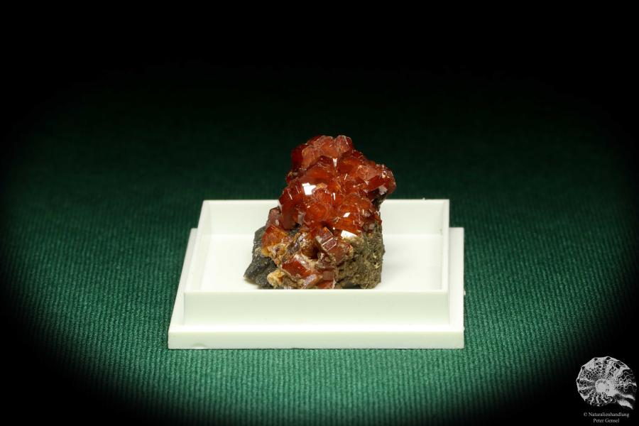 Vanadinite XX - Morocco - (20733)