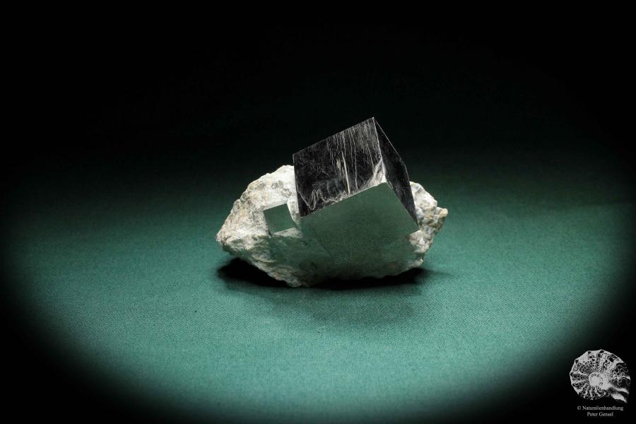 Pyrit XX in Mergelmatrix ein Mineral
