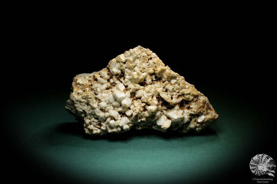 Albit XX (4235) ein Mineral aus Schweiz | Mineralien | Weltweit