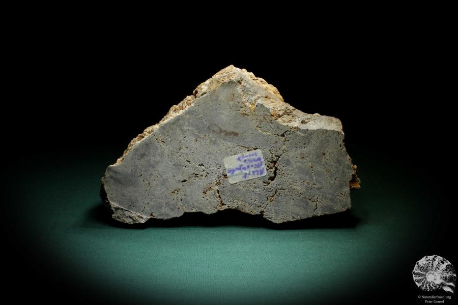 Albit XX (4235) ein Mineral aus Schweiz | Mineralien | Weltweit