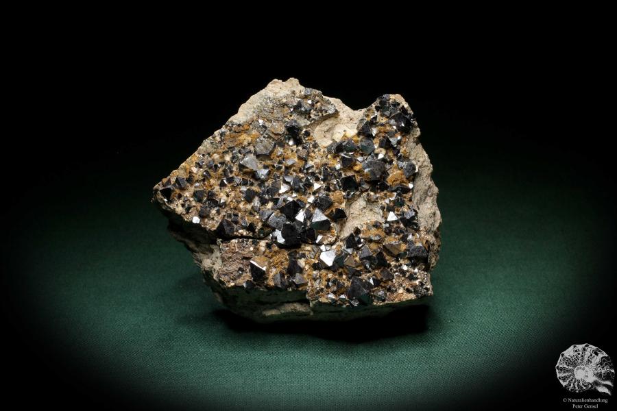 Magnetite XX (4914) a mineral from Bolivia | Minerals | Global