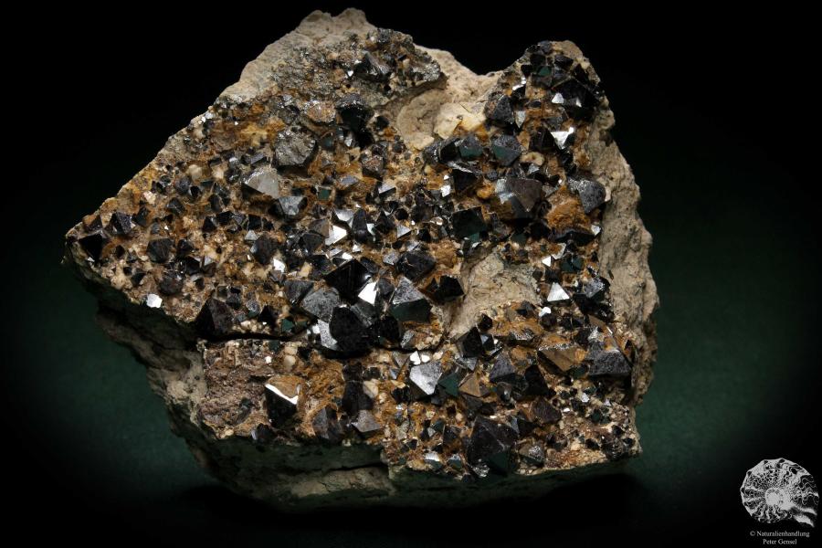 Magnetite XX (4914) a mineral from Bolivia | Minerals | Global