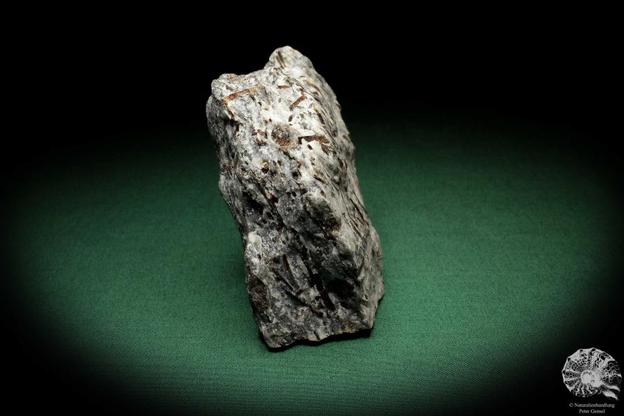 Astrophyllit XX (5515) ein Mineral aus Russland | Mineralien | Weltweit