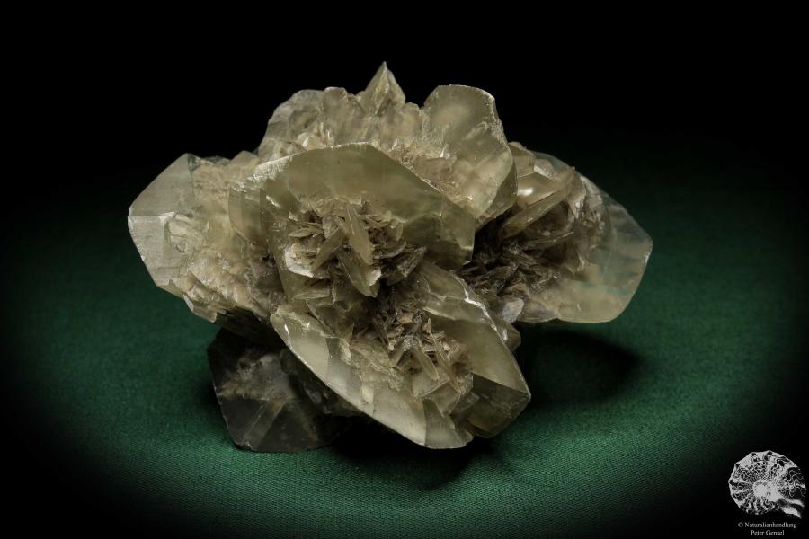 Gypsum XX (5527) a mineral from Germany | Minerals | From Germany