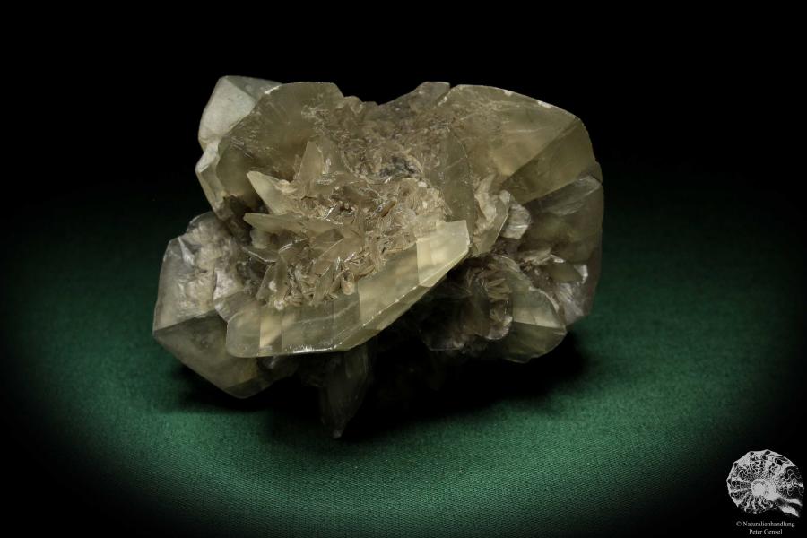 Gypsum XX (5527) a mineral from Germany | Minerals | From Germany