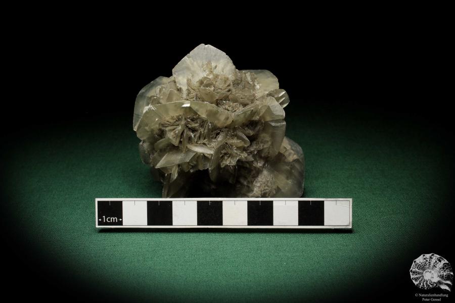 Gypsum XX (5527) a mineral from Germany | Minerals | From Germany